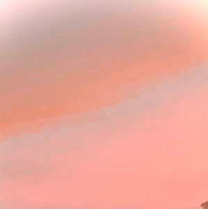 Meet your Posher, Defne